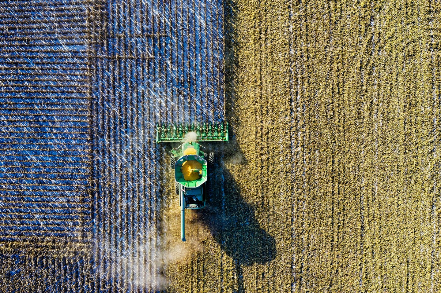 Agricultural Industry in Kazakhstan. Part 2
